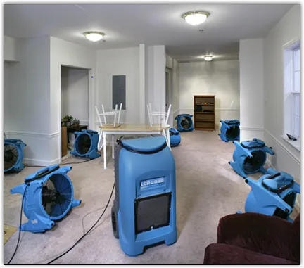 Flood Damage Cleanup in Tolleson, AZ