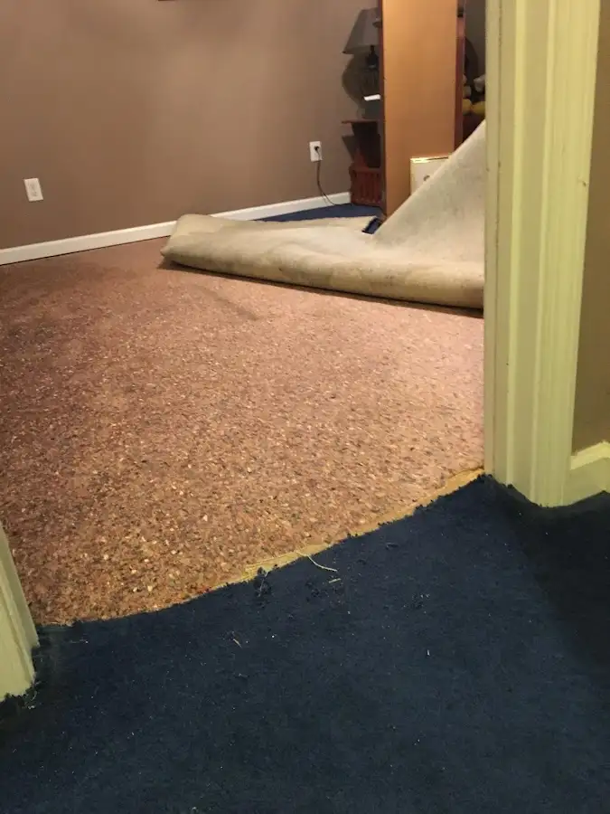 Carpet pad removal revealing water damage during Drying & Dehumidification in Tolleson