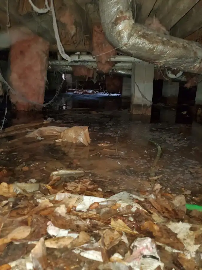 Crawl space flood assessment for Leak Detection & Repair in Tolleson